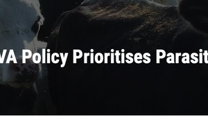 BCVA Policy prioritises parasite control