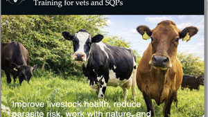 Screenshot 2026-04-20 at 19.09.16